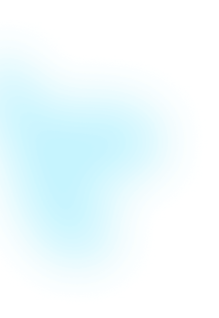  BN Software